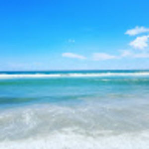 Meet your Posher, Will